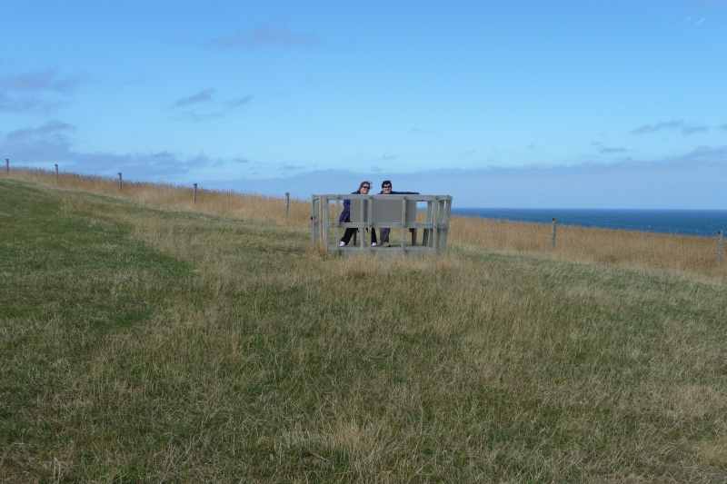 Nieuw-Zeeland 2011 - 1132